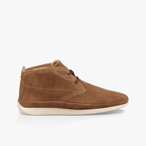 Ugg Cali Chukka Stövlar Herr Bruna (537894CLB)